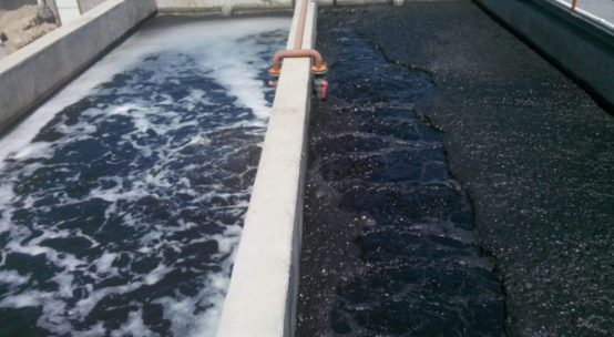 圖1：曝氣池污水泡沫池