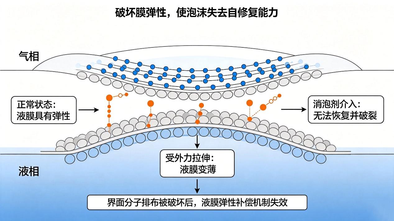 消泡劑作用機理:破壞膜彈性過程